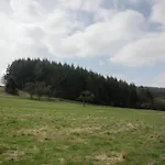 Familienausflug Nach Lirstal *