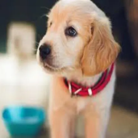 Appartement Family Getaway *